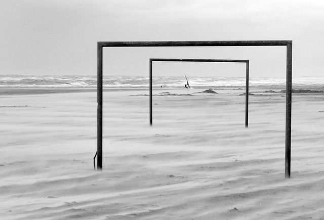 款将自动生 款将自动生