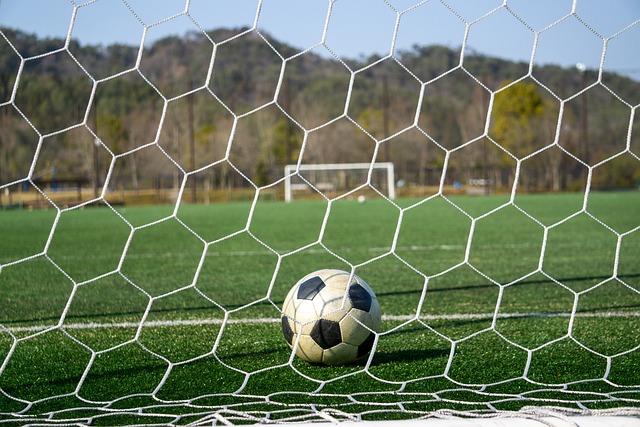 任何关于文 任何关于文