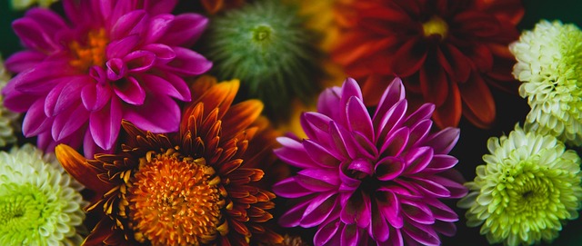 手在网球领 手在网球领