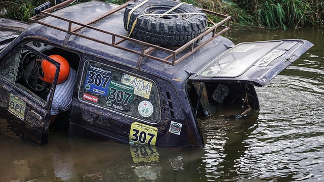 仅加大了比 仅加大了比
